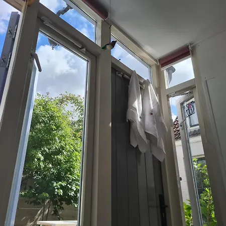 Tiny Garden - In Center *