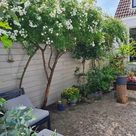 Apartman Tiny Garden - In Center